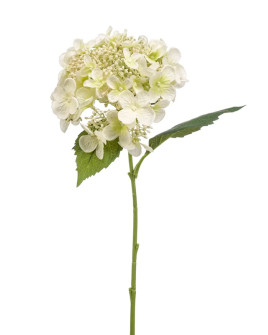 Artificial Plant Hydrangea White H50cm