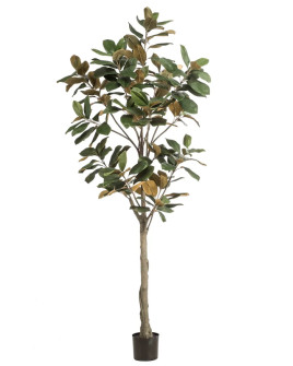 Искусственное растение Magnolia Denudata Tree / Магнолия дерево H210cm