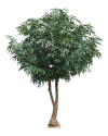 Artificial Plant Ficus Longifolia Royal Tree H400cm NKoop DP