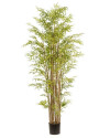 Искусственное растение Bamboo Japanese / Бамбук Японский H210cm NKoop EEG