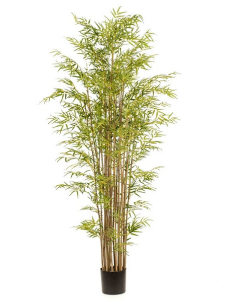Искусственное растение Bamboo Japanese / Бамбук Японский H210cm NKoop EEG
