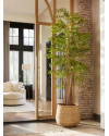 Искусственное растение Bamboo Japanese / Бамбук Японский H210cm NKoop EEG