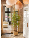 Искусственное растение Bamboo Japanese / Бамбук Японский H210cm NKoop EEG