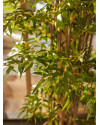 Искусственное растение Bamboo Japanese / Бамбук Японский H210cm NKoop EEG