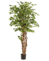 Artificial Plant Ficus Liana H170cm NKoop EEG
