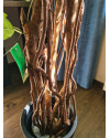Artificial Plant Ficus Liana H170cm NKoop EEG