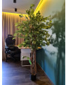 Artificial Plant Ficus Liana H170cm NKoop EEG