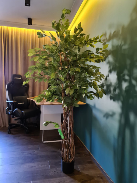 Artificial Plant Ficus Liana H170cm NKoop EEG