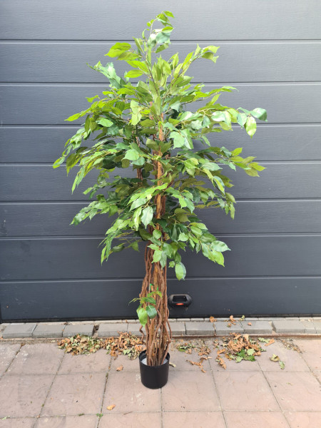 Artificial Plant Ficus Liana H170cm NKoop EEG