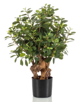 Искусственное растение Ficus Panda Botanic Tree / Фикус Панда H70cm