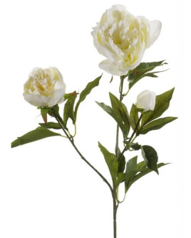 Artificial flower Peony spray Cream H70cm