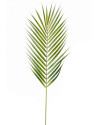 Artificial Plant Chamaedorea Palm spray H75cm NKoop EEG