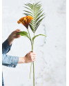 Artificial Plant Chamaedorea Palm spray H75cm NKoop EEG
