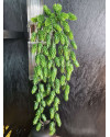 Искусственный Хмель лиана H70cm NKoop EEG