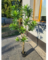 Artificial Plant Dracaena Tree H155cm NKoop EEG