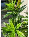 Artificial Plant Dracaena Tree H155cm NKoop EEG