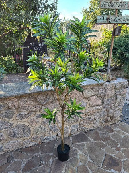 Artificial Plant Dracaena Tree H155cm NKoop EEG