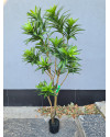 Artificial Plant Dracaena Tree H155cm NKoop EEG