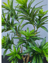 Artificial Plant Dracaena Tree H155cm NKoop EEG