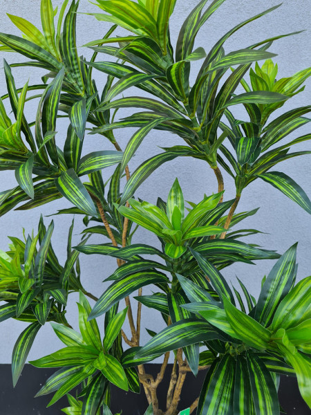 Artificial Plant Dracaena Tree H155cm NKoop EEG