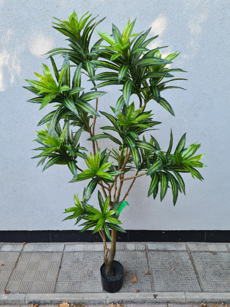 Artificial Plant Dracaena Tree H155cm NKoop EEG