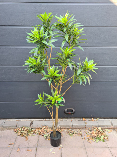 Artificial Plant Dracaena Tree H155cm NKoop EEG