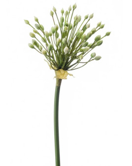 Искусственный цветок Allium buds spray Cream / Аллиум с бутонами H70cm