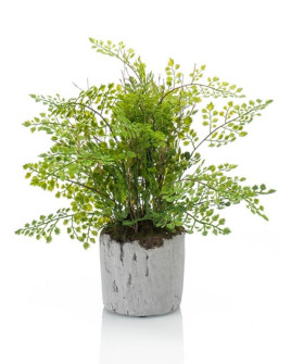 Искусственное растение Fern Adianthum / Папоротник Адиантум H38cm