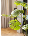 Штучна рослина Monstera / Монстера H95cm NKoop EEG