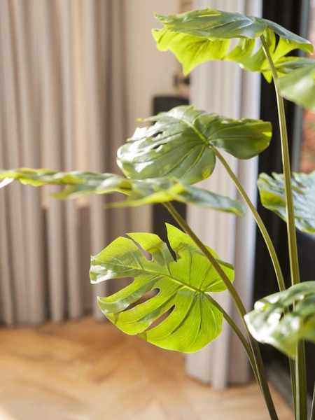 Штучна рослина Monstera / Монстера H95cm NKoop EEG