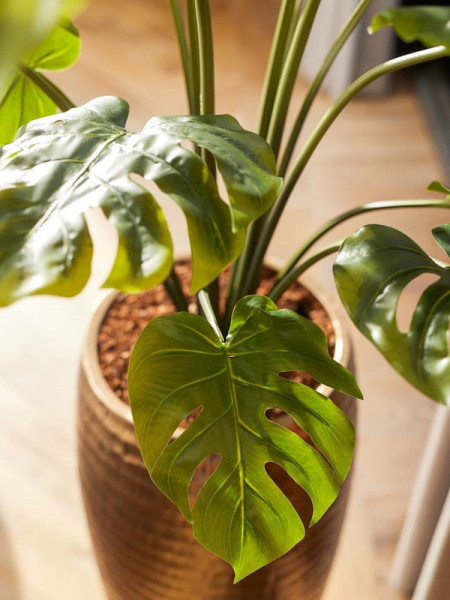 Штучна рослина Monstera / Монстера H95cm NKoop EEG