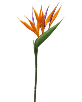 Artificial flower Strelitzia Mini Orange H65cm