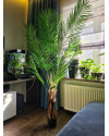 Artificial Plant Palm Areca H180cm NKoop EEG