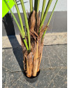 Artificial Plant Palm Areca H180cm NKoop EEG