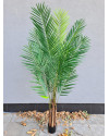 Artificial Plant Palm Areca H180cm NKoop EEG
