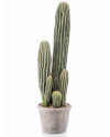 Искусственное растение Cactus San Pedro / Кактус Сан Педро H57cm NKoop EEG