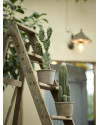 Искусственное растение Cactus San Pedro / Кактус Сан Педро H57cm NKoop EEG