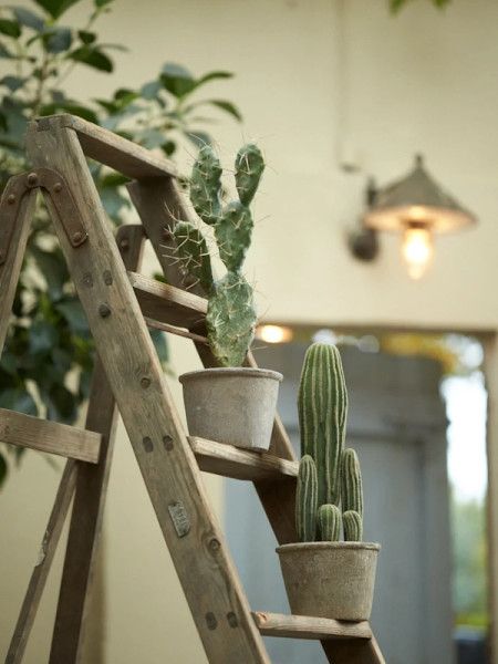 Искусственное растение Cactus San Pedro / Кактус Сан Педро H57cm NKoop EEG