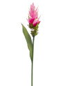 Искусственный цветок Curcuma Pink / Куркума H80cm NKoop EEG