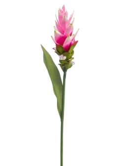 Искусственный цветок Curcuma Pink / Куркума H80cm