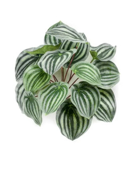Искусственное растение Peperomia Green-Grey / Пеперомия H25cm