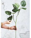 Искусственное растение Monstera Monkey leaves spray / Монстера Манки ветка H75cm NKoop EEG