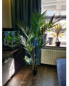 Искусственное растение Palm Kentia / Пальма Кентия H150cm NKoop EEG