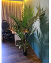 Искусственное растение Palm Kentia / Пальма Кентия H150cm NKoop EEG