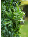 Искусственные растения Living Wall Mix / Живая стена микс 100x100cm NKoop EEG
