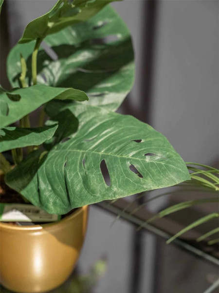 Искусственное растение Monstera Monkey bush / Монстера Манки куст H30cm NKoop EEG