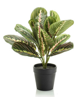 Искусственное растение Maranta bush green / Маранта H30cm