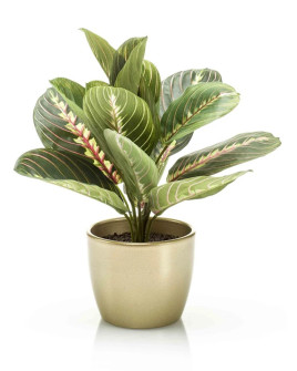 Искусственное растение Maranta bush green / Маранта H30cm