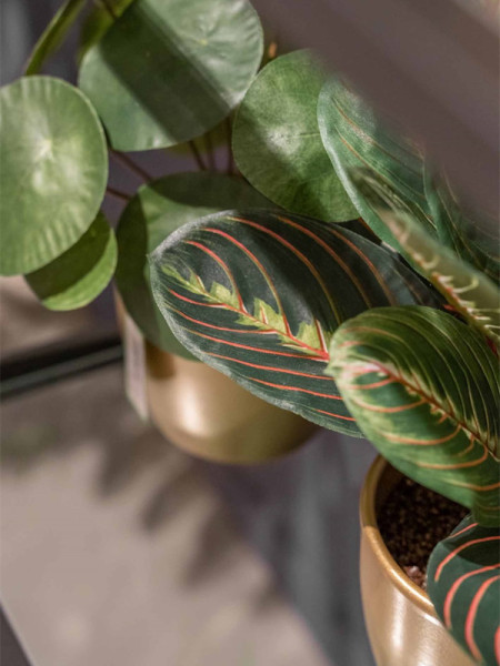 Искусственное растение Maranta bush green / Маранта H30cm NKoop EEG