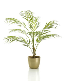 Искусственное растение Palm Chamaedorea / Пальма Хамедорея H85cm